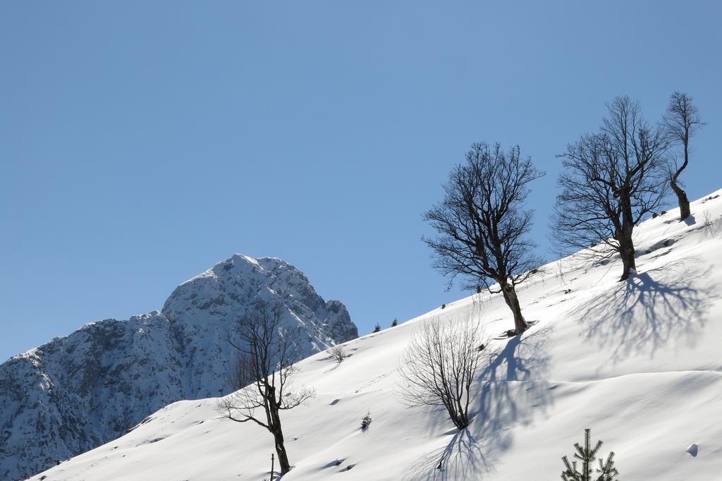 Ferienwohnung Kainer Zell am Ziller Dış mekan fotoğraf